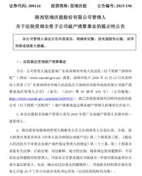  ,布伦瑞克法院受理俱乐部破产保护申请案  